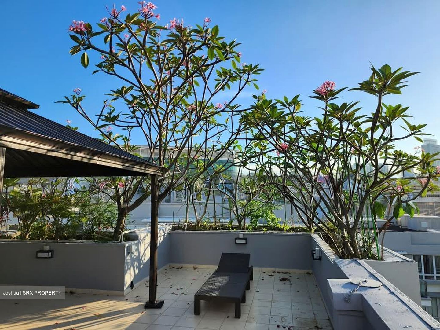 8 @ Mount Sophia (D9), Condominium #589156001